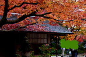 万博公園の紅葉。日本庭園の建物と紅葉