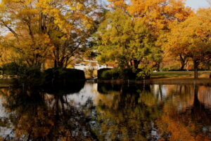 万博公園の紅葉の写真。どんぐり池