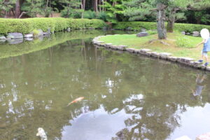 万博公園の松の池