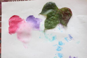 一年生のあさがおの葉っぱに色を塗って遊んでいるところ