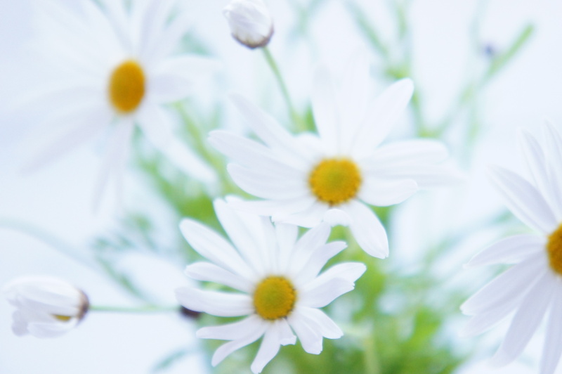 どの方法が自分に適しているかを判断する方法