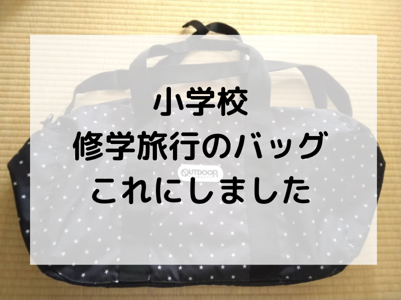 小学校の修学旅行用のボストンバッグ