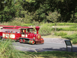 吹田市にある万博公園内を走る「森のトレイン」