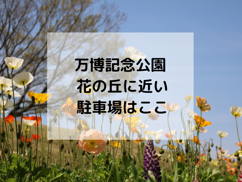万博記念公園の花の丘に近い駐車場（北駐車場・万博おゆば駐車場）と行き方を紹介する記事
